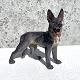 Dahl Jensen, 
Standing German 
Shepherd # 
1087, 20cm 
wide, 21cm 
high, 1st grade 
* Perfect 
condition *