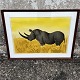 Hans Scherfig, Lithograph from 1968, “Rhinoceros in sunshine”, Frame 61cm high, 80.5cm wide, ...