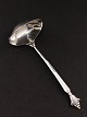 Acanthus sauce spoon