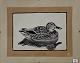 Johannes Larsen Woodcut. Unsigned.Classic motif of duck. Dimensions: 24 x 30 cm.