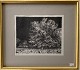Palle Nielsen.
Engraving with 
passerpartout 
in gold frame.
Signed  PN / 
71.Akiv 29. 
Measure: ...