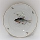 Meissen. 
Porcelain. Fish 
plate. Diameter 
25 cm