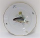 Meissen. 
Porcelæn. 
Fisketallerken. 
Diameter 25 cm