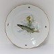 Meissen. 
Porcelæn. 
Fisketallerken. 
Diameter 25 cm