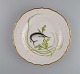 Royal Copenhagen porcelain dinner plate with hand-painted fish motif and golden 
border. Flora / Fauna Danica style. Dated 1968.
