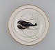 Royal Copenhagen porcelain dinner plate with hand-painted fish motif and golden 
border. Flora / Fauna Danica style. Dated 1957.
