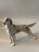 Royal Copenhagen dog figure, SetterDecoration number 3252.SOLD