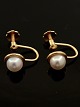 14 carat gold earrings with genuine pearl item no. 501949