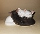 Figure with three sleeping kittens in porcelain from Royal Copenhagen. Appears in good ...