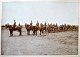 Photograph. Military exercise. ca. 1900. Denmark. Probably from practice at Roskilde / ...