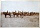 Photograph. 
Military 
exercise. ca. 
1900. Denmark. 
Probably from 
practice at 
Roskilde / ...