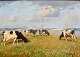 Bundgaard, Gunnar (1920 - 2005) Denmark: Cows on a field by a fjord. Oil on canvas. Signed. 50 x ...