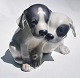 Porcelain figure from Royal Copenhagen. Imagining two pointer puppies. Designed by Erik Nielsen. ...