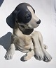 Porcelain figure from Royal Copenhagen. Imaginative sitting pointer puppy. Designed by Erik ...