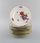 Royal Copenhagen Saksisk Blomst speciel version. 9 sjældne porcelænstallerkener 
med håndmalede blomster og gulddekoration. Ca. 1900.
