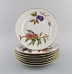 Royal Worcester, England. Eight Evesham dinner plates in porcelain decorated 
with fruits and gold rim. 1980s.
