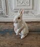 B&G figurine, 
rabbit 
No. 2443, 
Factory first
Height 12.5 
cm. 
Design: K. 
Otto