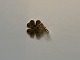 Four-leaf 
clover in 14 
carat gold
Stamped 585
Measures 17.75 
mm approx
Thickness 0.52 
mm
The ...