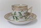 Royal Copenhagen, Flora Danica. Cup with saucer. Model #3512. (1 quality). Ribes aureum L