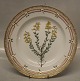 20-3549 Traditional Dinner Plate: Genista germanica L. New # 624 10" / 25 cm  (1968) Royal ...