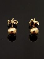 14 carat gold ear studs