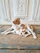 B&G figure - 
Pointer bitch 
with puppies 
No. 2111, 
Factory first 
Height 14 cm. 
Length 31 cm. 
...