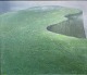 Albert 
Bertelsen 
1921-1999
1980
90 x 105 cm.
