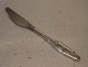 Knife 20 
cm	11	pieces	 
Silver plated 
flatware 
Diamond - 
Diamant