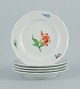 Meissen, Germany.
Five porcelain dinner plates decorated with flowers.