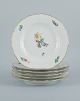 Royal Copenhagen Saxon Flower. Six dinner plates in hand-painted porcelain with 
flowers and gold decoration.