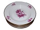 Purpur Braided
Large soup plate 25.3 cm.