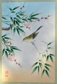 Ashikaga, Shizud (1917-1991) Japan: A Bird Sitting on a Flowering Branch. Woodcut on paper. ...