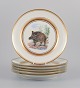 Royal Copenhagen, six fauna danica style dinner plates hand painted with animal 
motifs.
Decorated with gold rim.