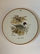Jagtstellet 
Mads Stage 
Smørebrik / 
Platte, (Anas 
Acuta) 
Quicksand
Diameter 16 
cm.
Nice ...