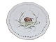 White Flora Danica
Luncheon plate decorated with musk ox from 
1840-1893