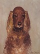 Søren Edsberg, Danish artist, cocker spaniel.