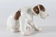 Bing & Grøndahl
Puppy no. 2060
Designed by 
artist Lauritz 
Jensen
With stamp 
from the ...
