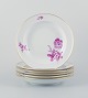 Meissen, et sæt på seks dybe porcelænstallerkner håndmalet med blomstermotiver i 
purpur. Gulddekoration på kant.