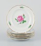 Meissen, et sæt på seks ”Pink Rose” porcelænstallerkner håndmalet med lyserøde 
roser.