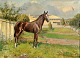 Hornung-Jensen, Carlo (1882 - 1960) Denmark: The racehorse Bonnie. Aarhus Trotting Track. Signed ...