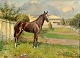 Hornung-Jensen, 
Carlo (1882 - 
1960) Denmark: 
The racehorse 
Bonnie. Aarhus 
Trotting Track. 
Signed ...