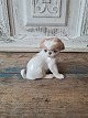 B&G Figure - 
Pekingese 
No. 1631, 
Factory first 
Height 9.5 cm. 

Design: 
Dahl-Jensen