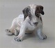 Dahl Jensen 1008 Wire Haired Fox Terrier puppy (DJ) 12 cm