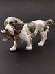 Bing & 
Grøndahl. 
Cocker Spaniel 
with prey model 
2061. (1 
assortment). 
Item No. 542704