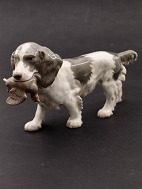 Bing & Grndahl. Cocker Spaniel