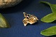 This small 
pendant is made 
in beautiful 
detail and will 
be ideal in 
combination 
with charms in 
a ...