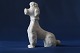 Beautiful and 
well-kept 
porcelain 
figurine of a 
sitting king 
poodle. Made of 
glazed 
porcelain, ...