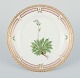 Royal Copenhagen Flora Danica plate. Hand-painted. 24-carat gold leaf.