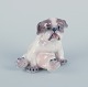 Dahl Jensen, porcelain figurine of a Pekingese puppy.Designed by Jens Peter Dahl Jensen ...