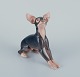 Bing & 
Grøndahl, rare 
porcelain 
figurine of a 
Doberman 
pinscher. 
Model number 
...